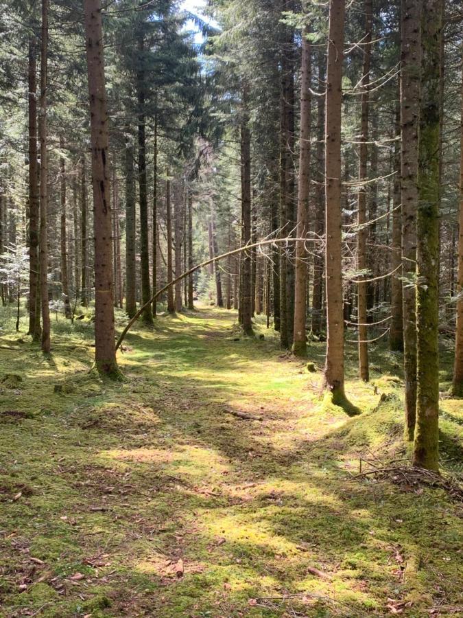 Apartamento Tarahaus St. Georgen im Schwarzwald Exterior foto