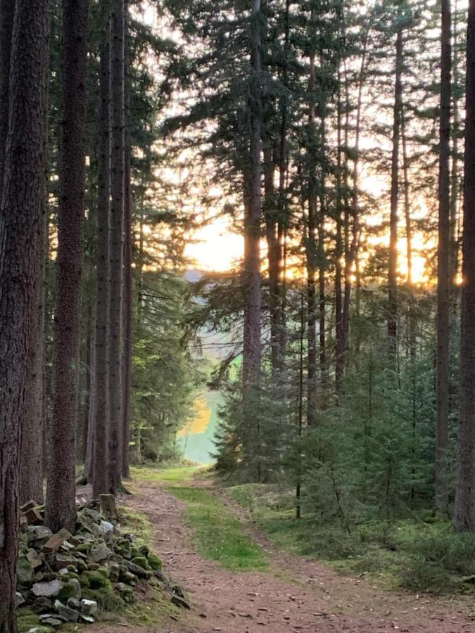 Apartamento Tarahaus St. Georgen im Schwarzwald Exterior foto