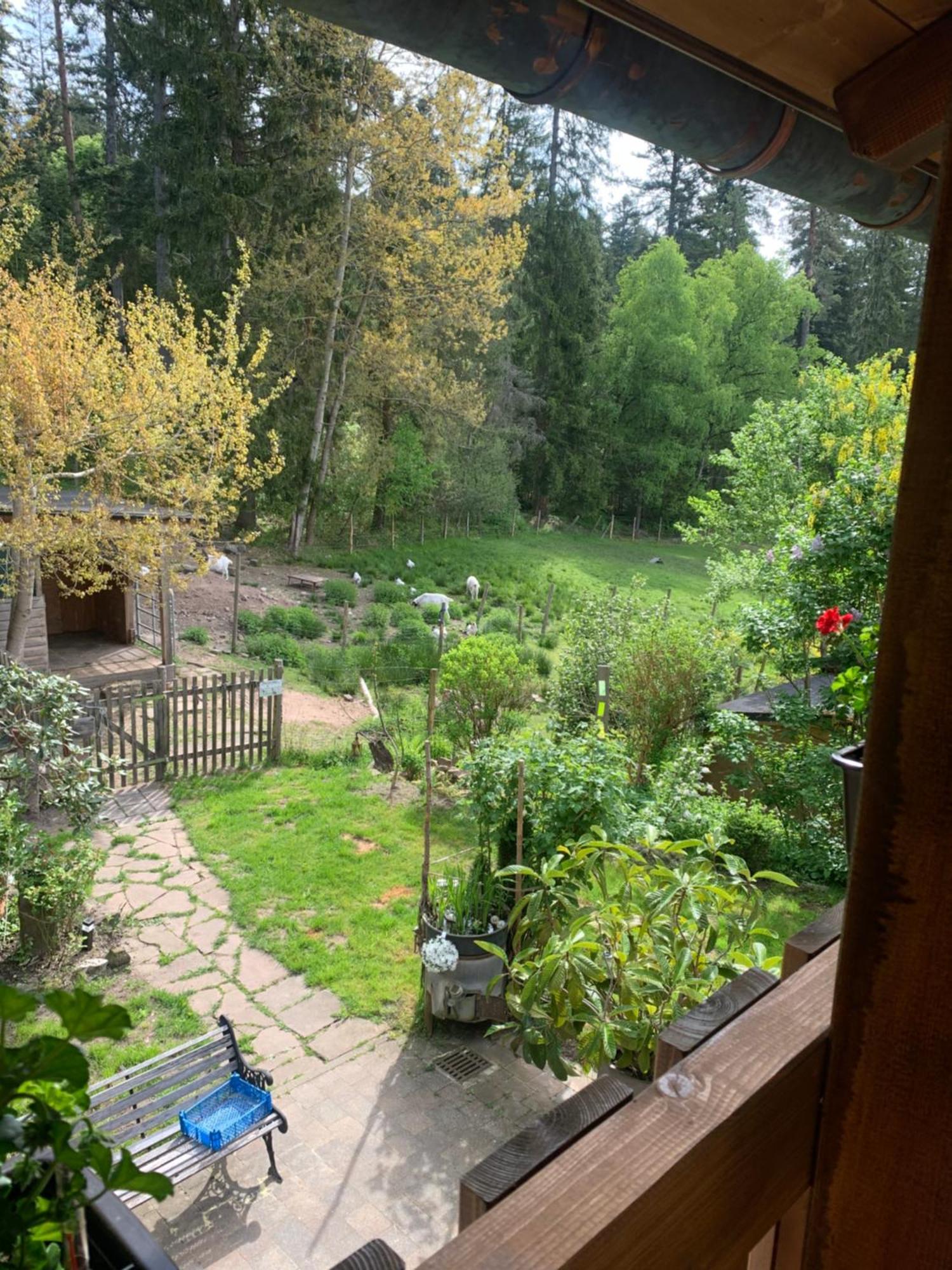 Apartamento Tarahaus St. Georgen im Schwarzwald Exterior foto