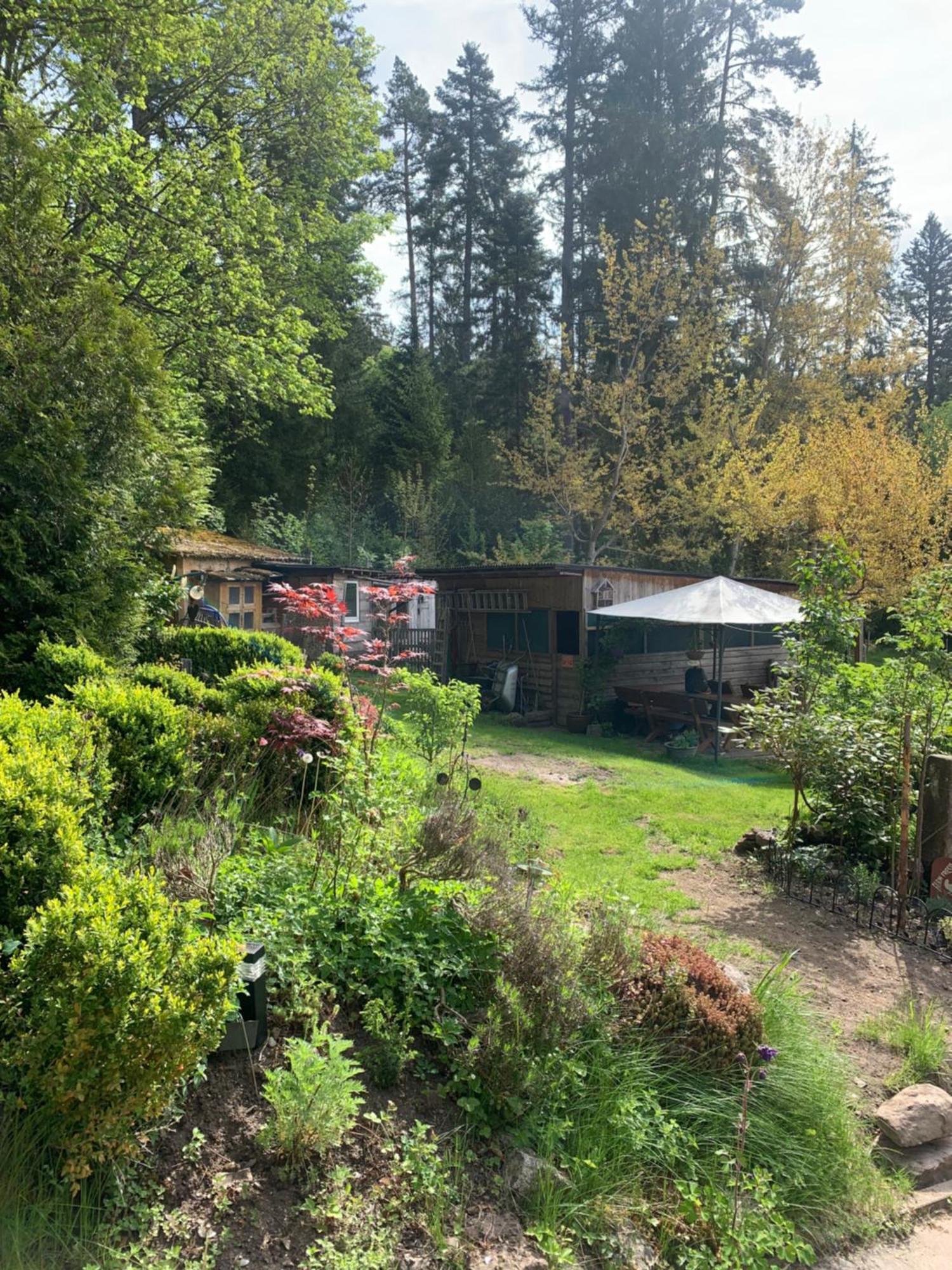 Apartamento Tarahaus St. Georgen im Schwarzwald Exterior foto