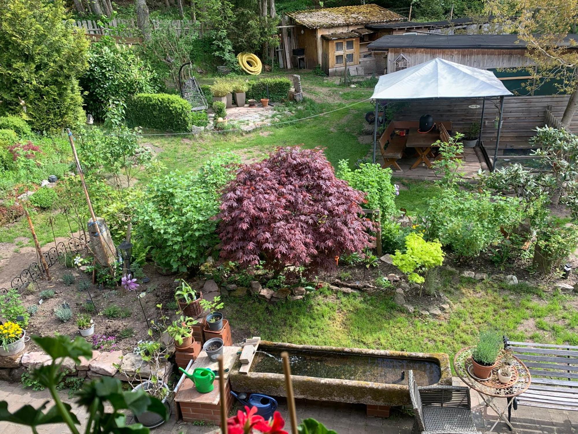 Apartamento Tarahaus St. Georgen im Schwarzwald Exterior foto