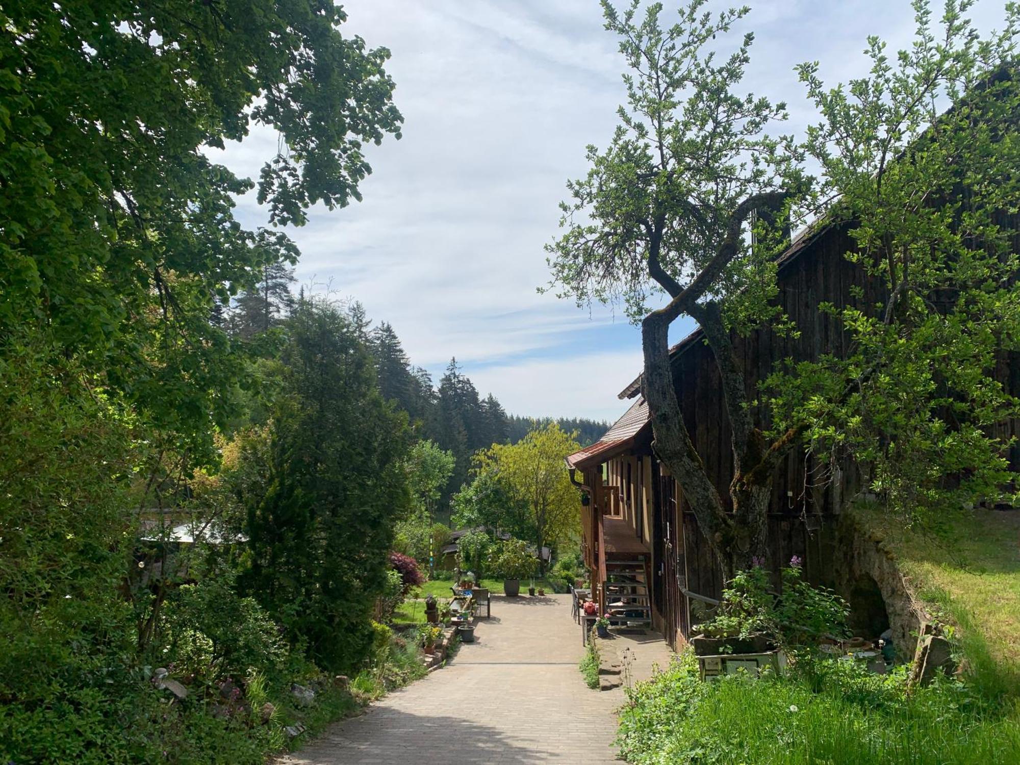 Apartamento Tarahaus St. Georgen im Schwarzwald Exterior foto